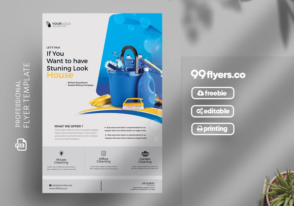 Free Cleaning Service Flyer Template in PSD PSDFlyer