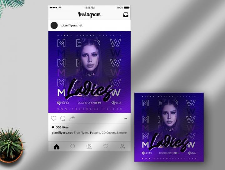 Free Ladies Night Instagram Post Template in PSD