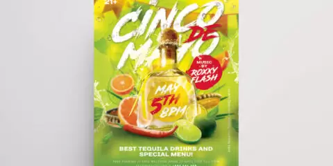 Cinco de Mayo NightParty Free Flyer Template (PSD)